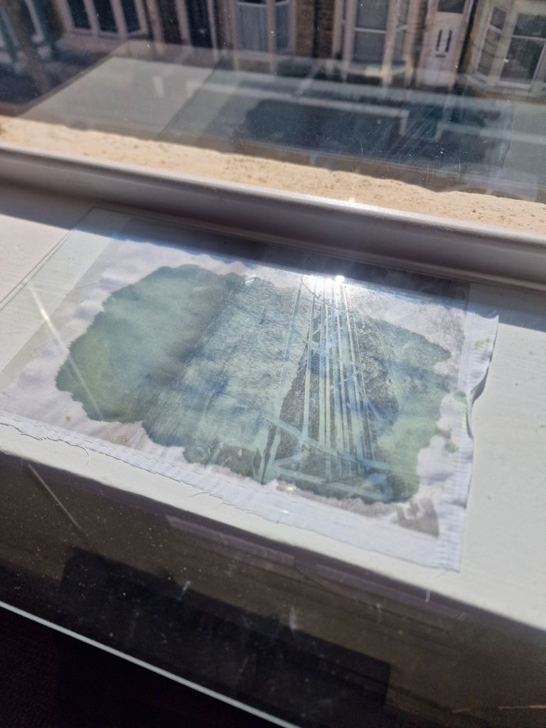cyanotype developing in the sun